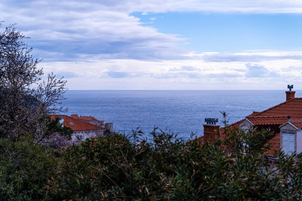 Apartment Aurelya Dubrovnik Exteriör bild